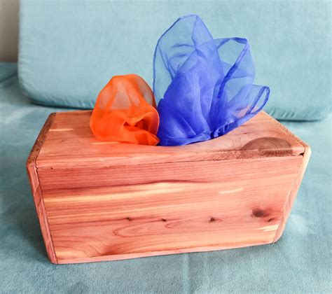 The Magic Tissue Box: A Must-Have Accessory for Every Occasion